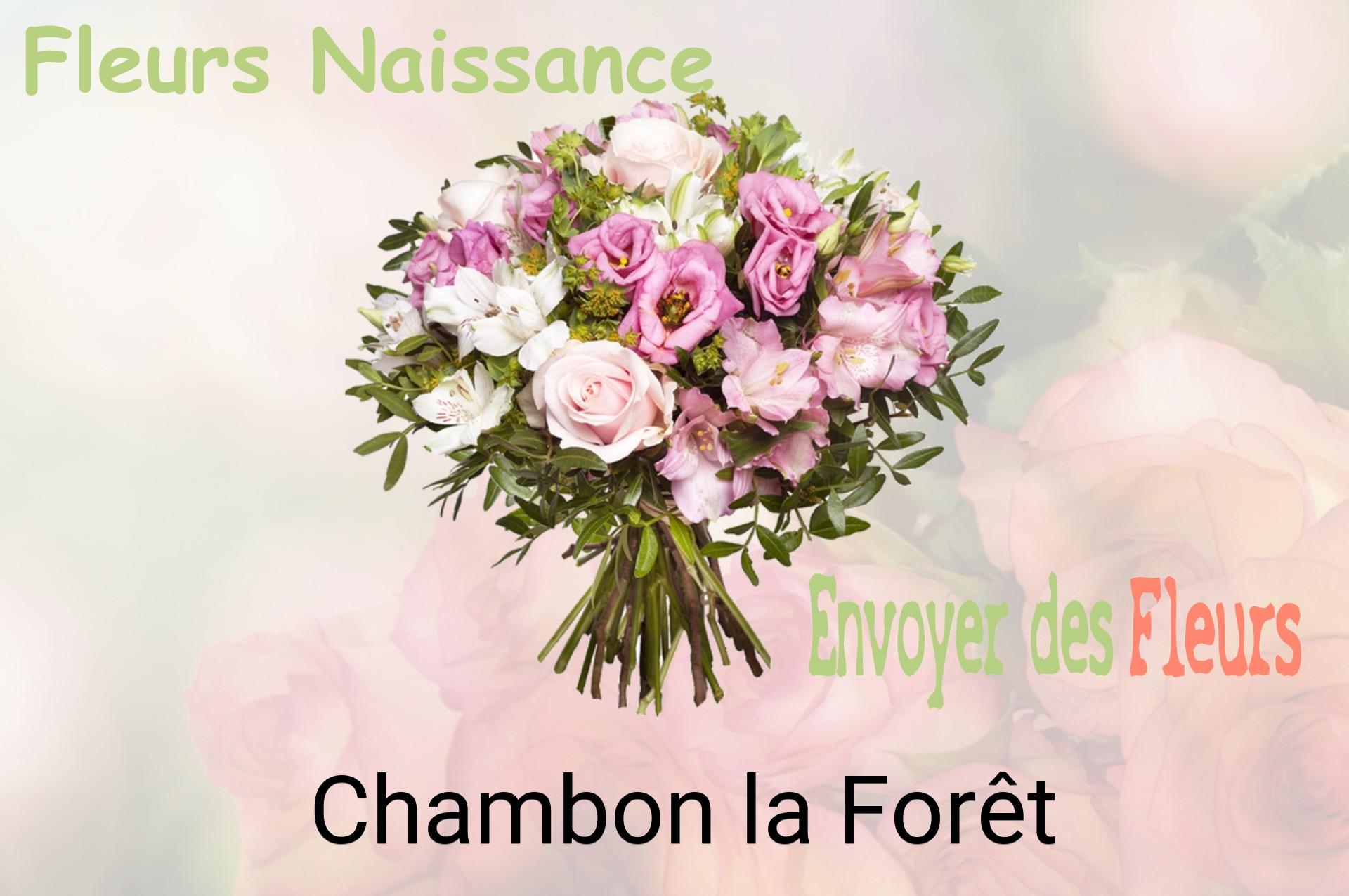 Bouquet de fleurs de naissance livré à Chambon-la-Forêt