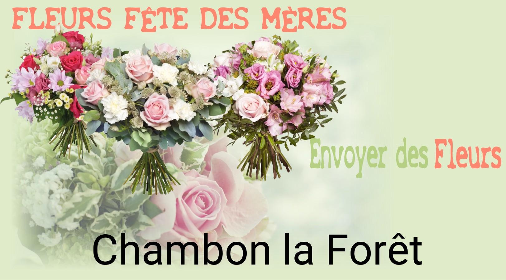 Bouquet de Fête des Mères livré à Chambon-la-Forêt