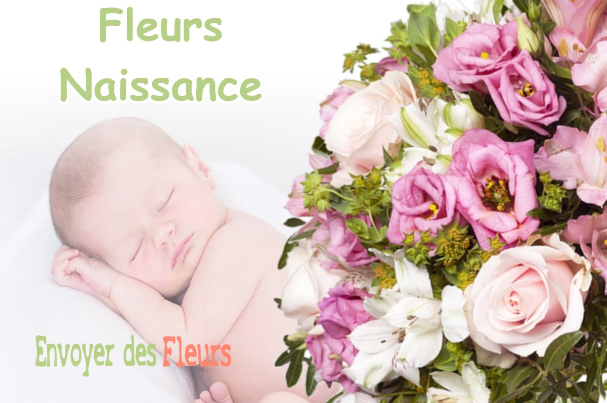 lIVRAISON FLEURS NAISSANCE à CHAMBON-LA-FORET